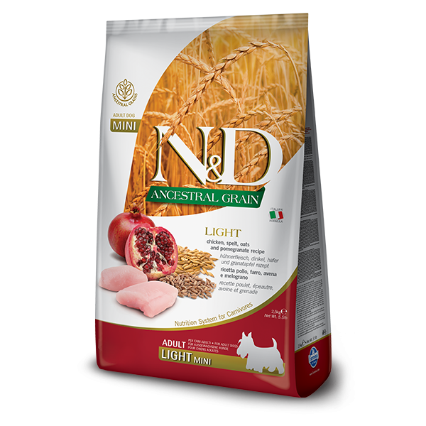 N&D OCEAN SOMON, MORİNA BALIĞI & KAVUN YETİŞKİN MEDIUM&MAXI 12kg